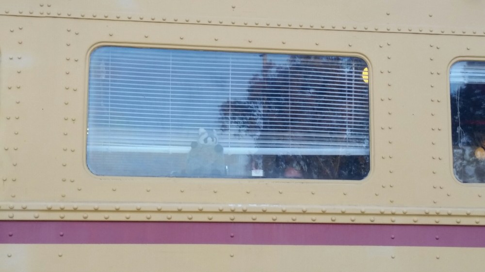 20150502_185408.jpg image