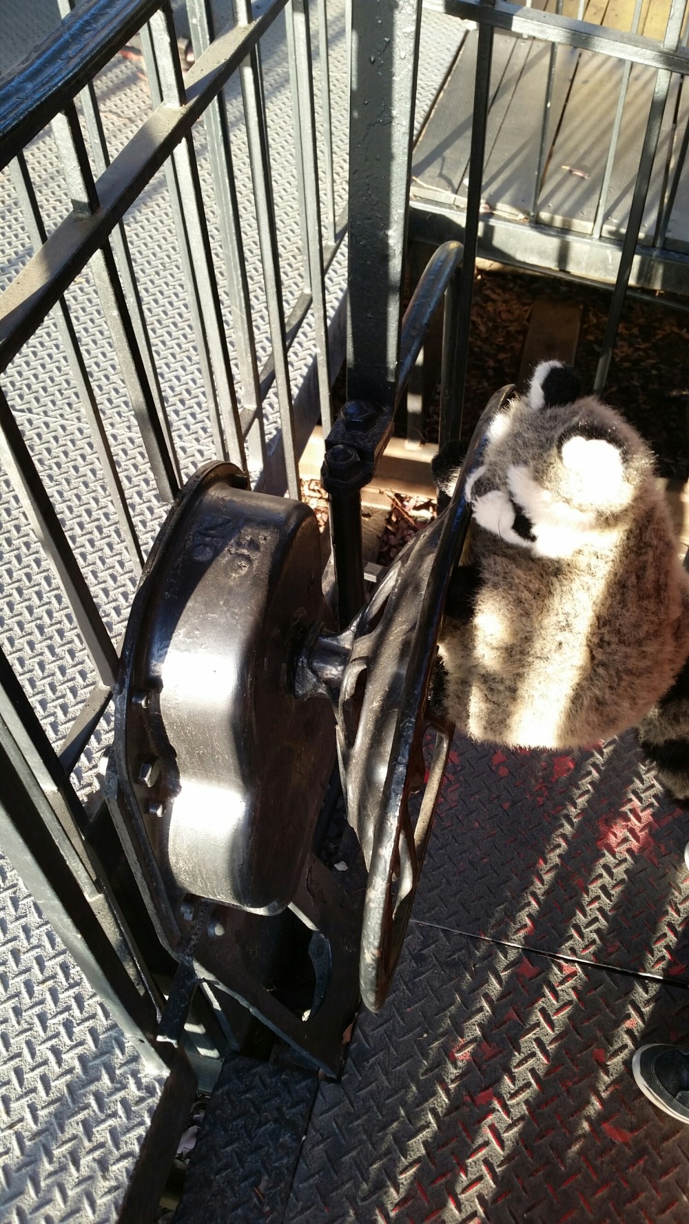 20150502_185527.jpg image