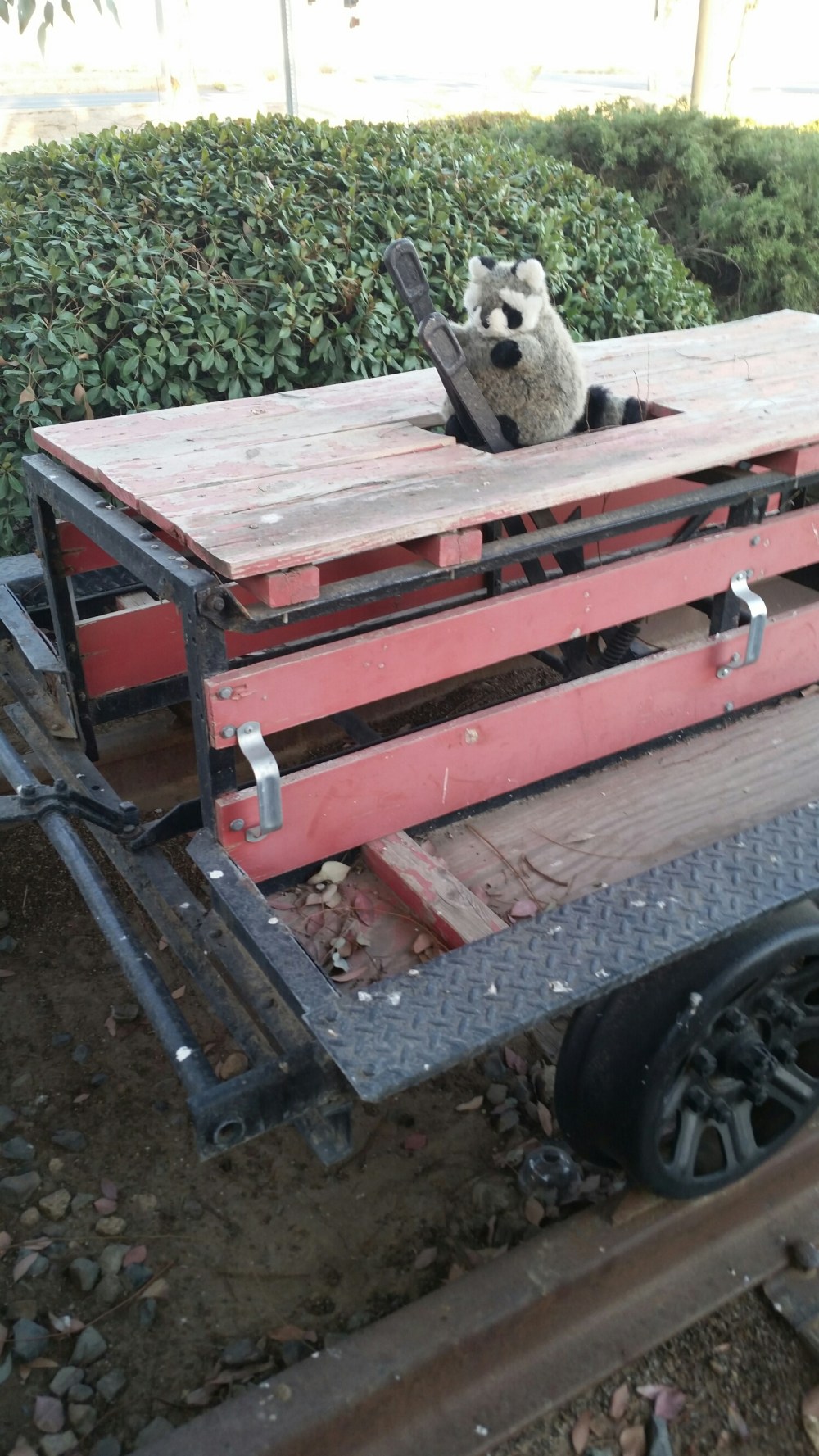 20150502_185655.jpg image