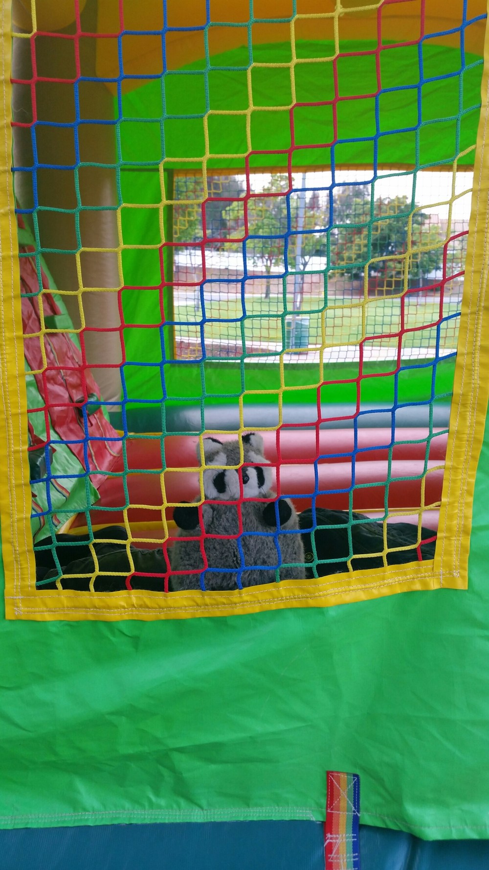 20150509_172055.jpg image