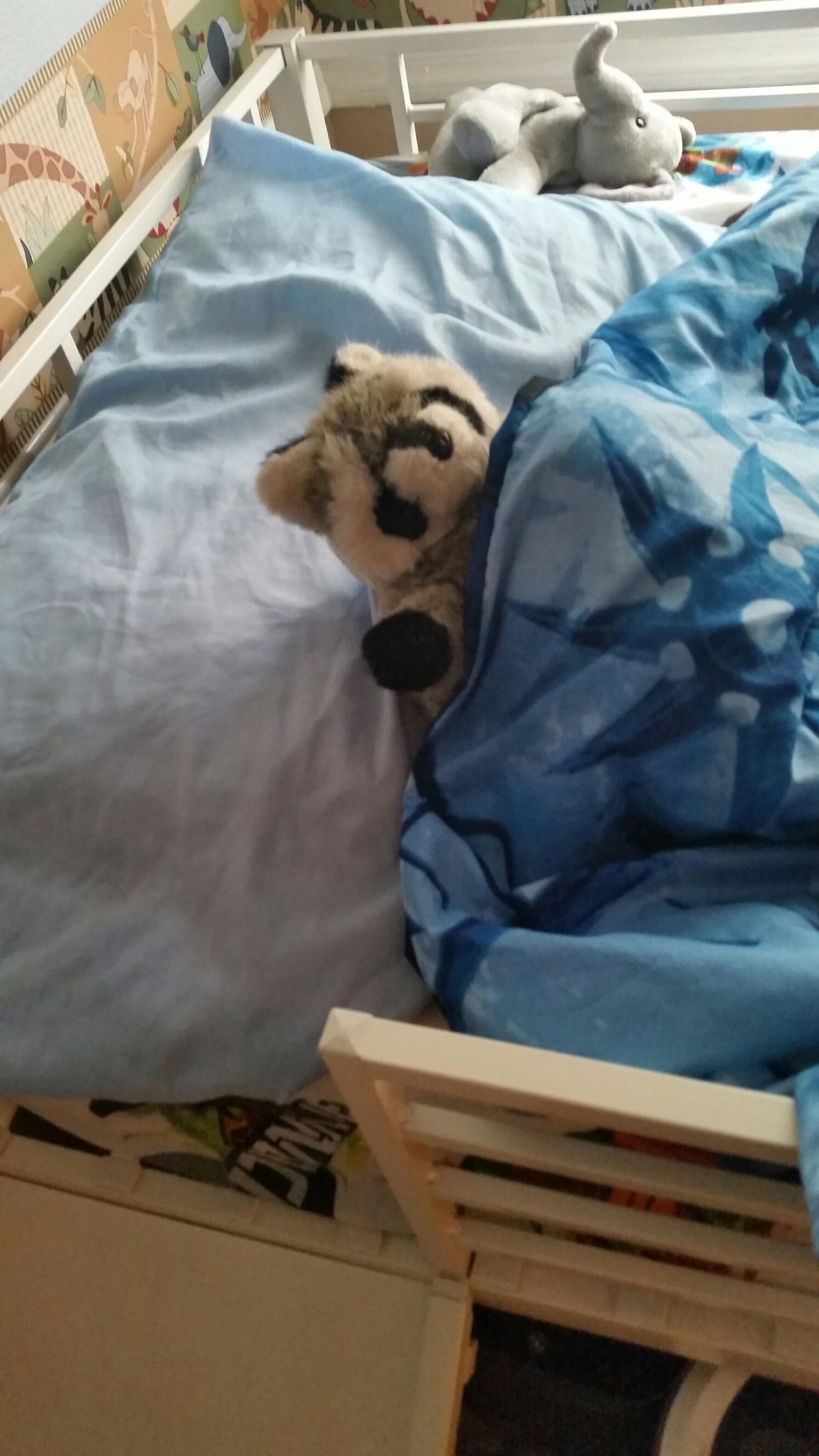 20150425_074740.jpg image