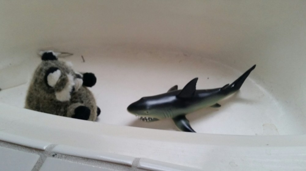 20150425_075804.jpg image