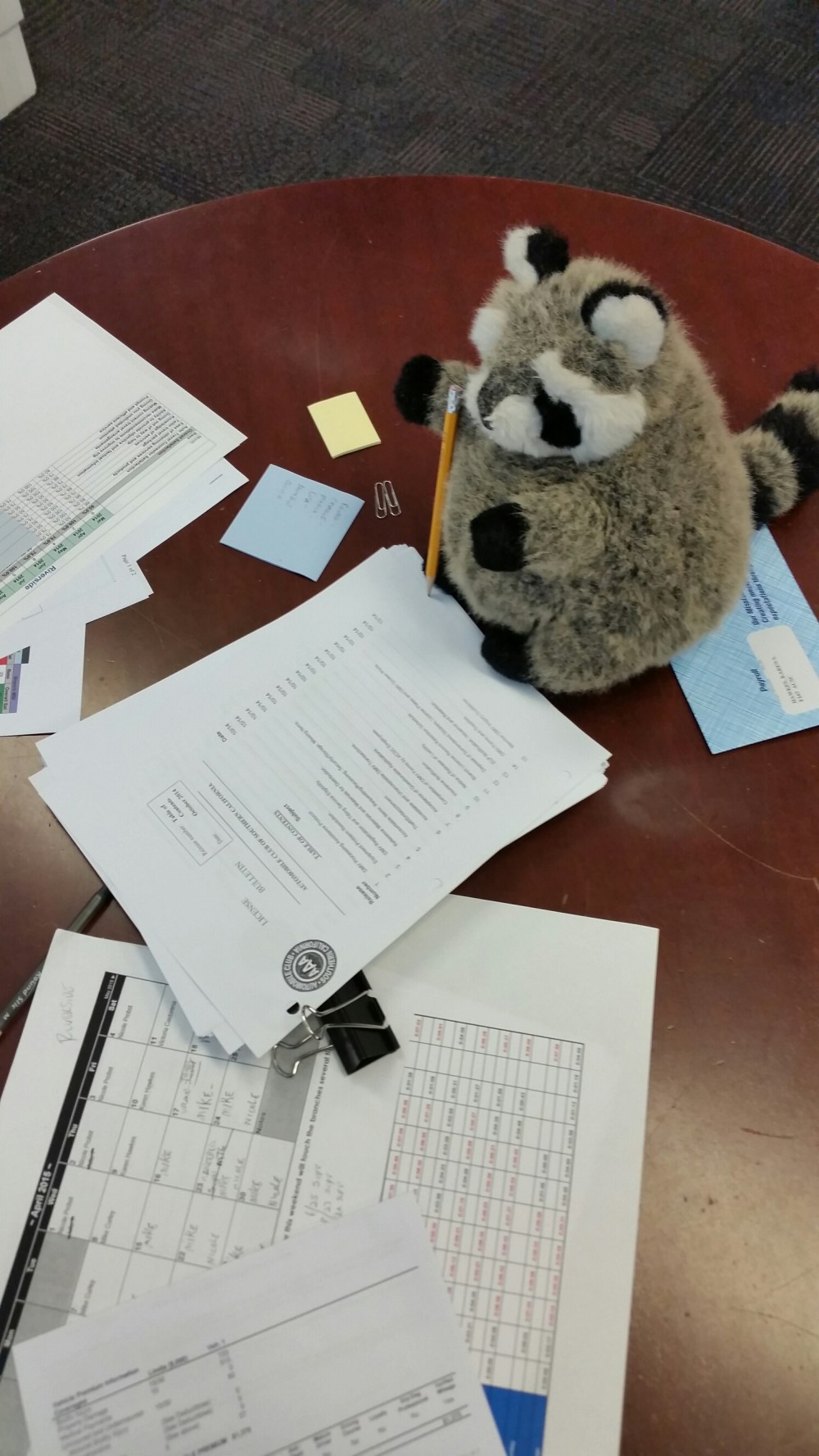 20150425_134249.jpg image