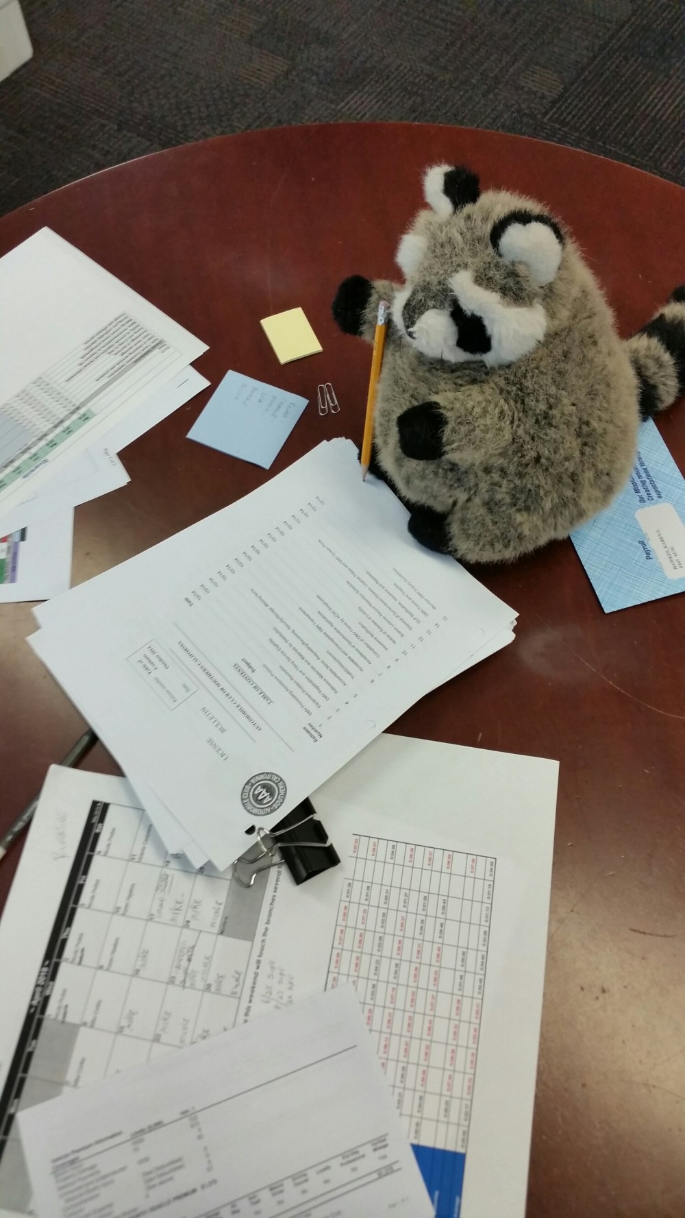 20150425_134250.jpg image