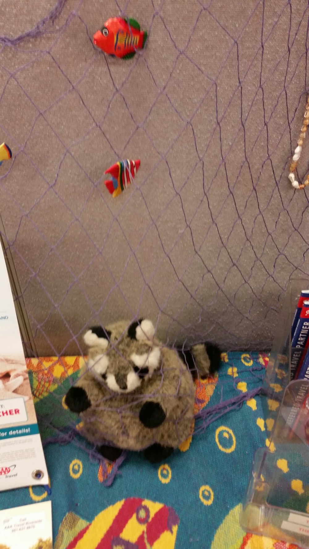 20150425_134430.jpg image