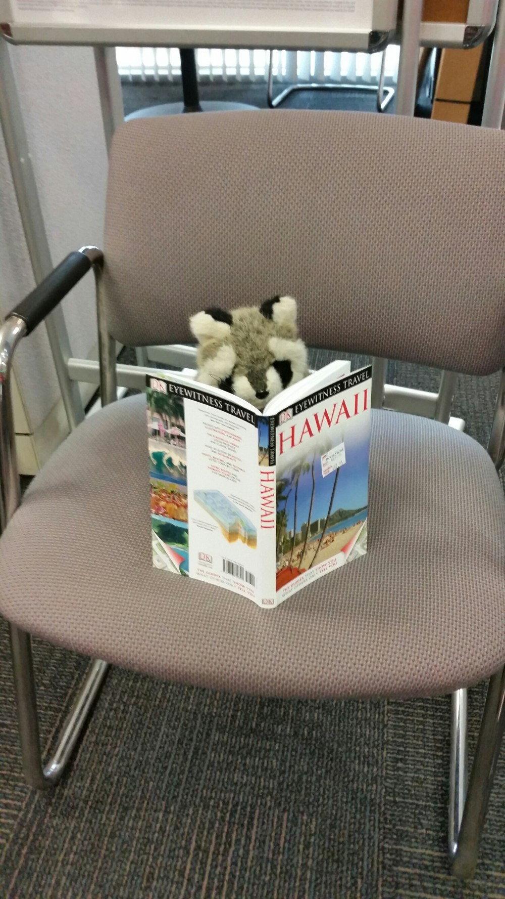 20150425_134743.jpg image