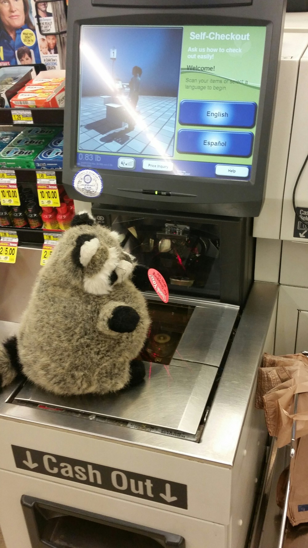 20150502_080018.jpg image