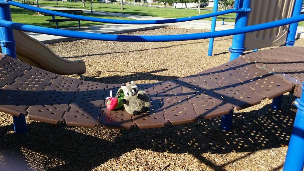 20150502_084712.jpg image