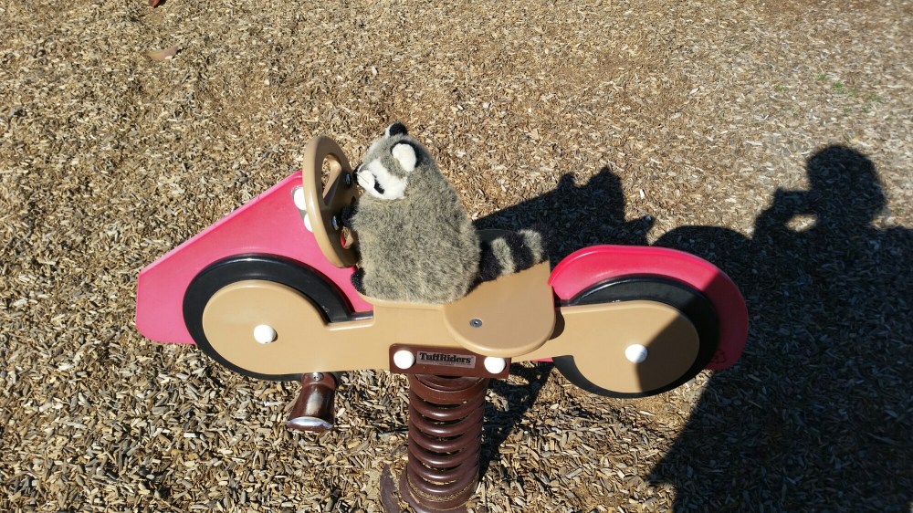 20150502_084812.jpg image