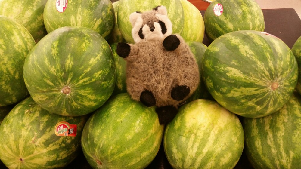 20150502_124908.jpg image