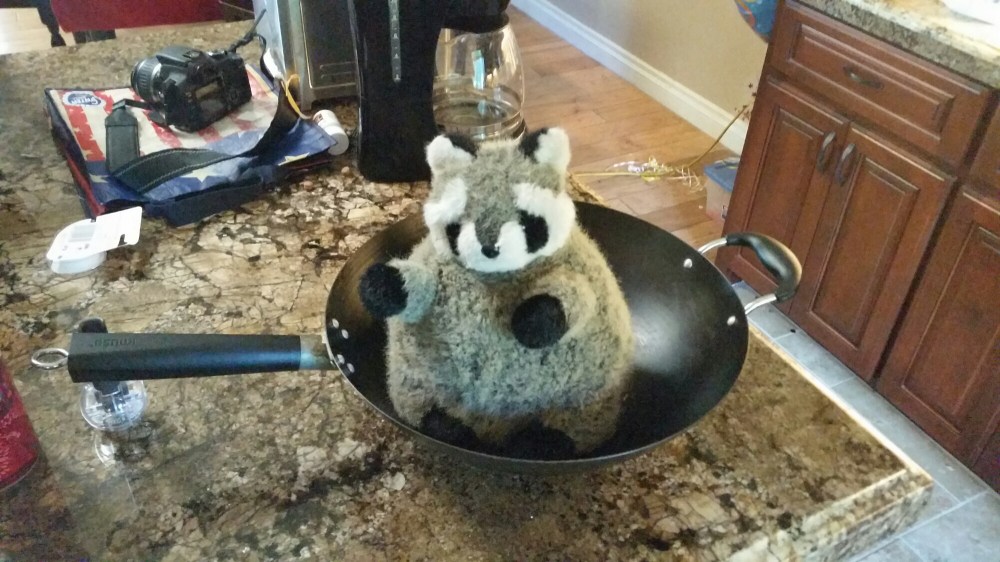 20150603_174750.jpg image