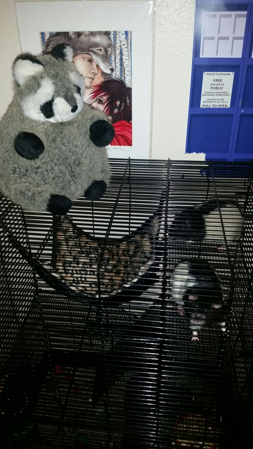 20150603_175113.jpg image