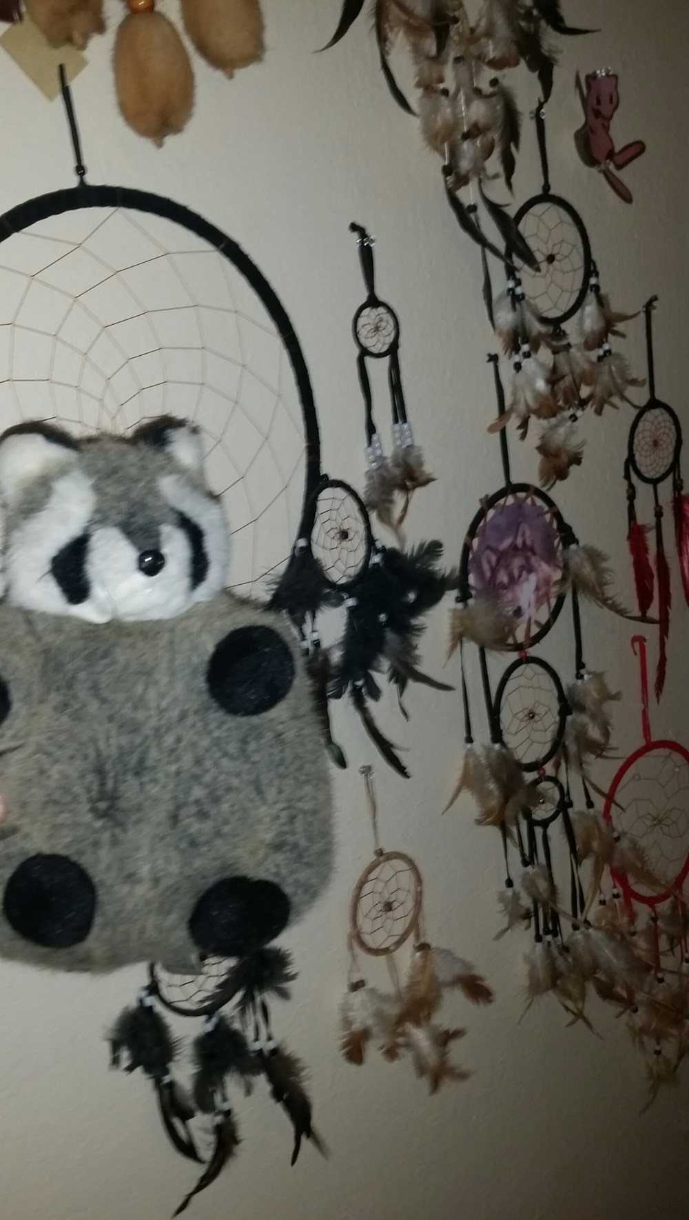 20150603_175131-1.jpg image