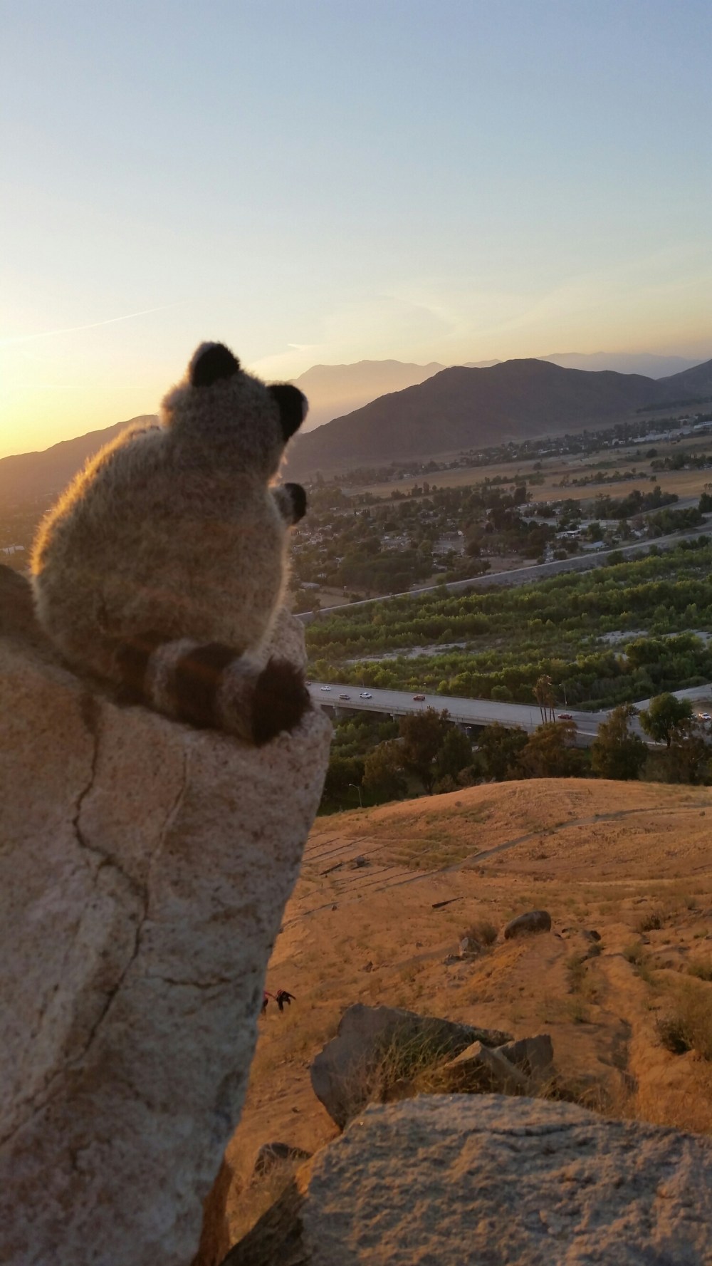 20150603_193914.jpg image