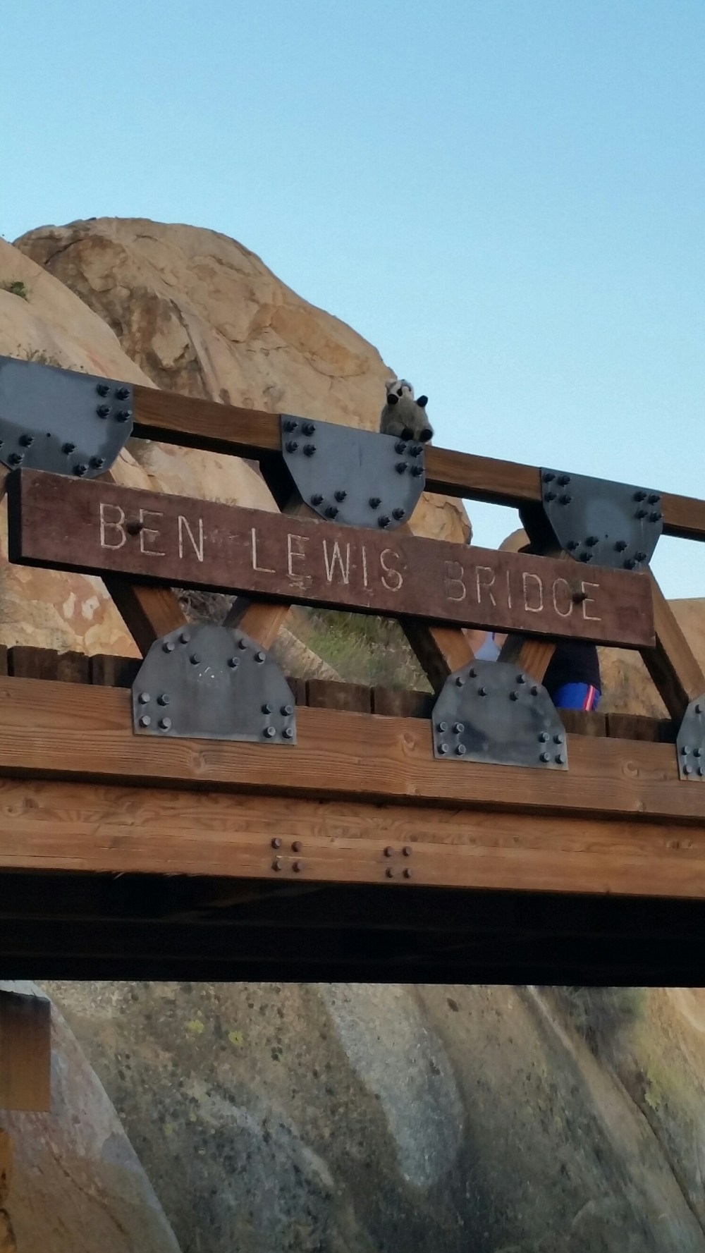 20150603_195002.jpg image