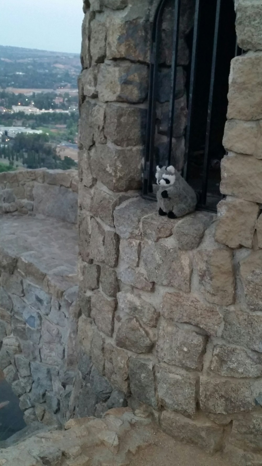 20150603_200103.jpg image