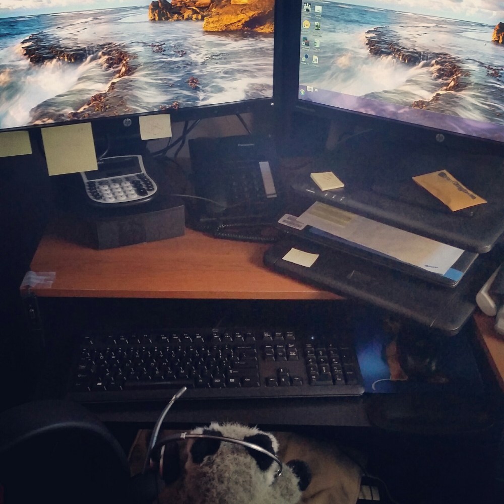 IMG_20150604_160519.jpg image