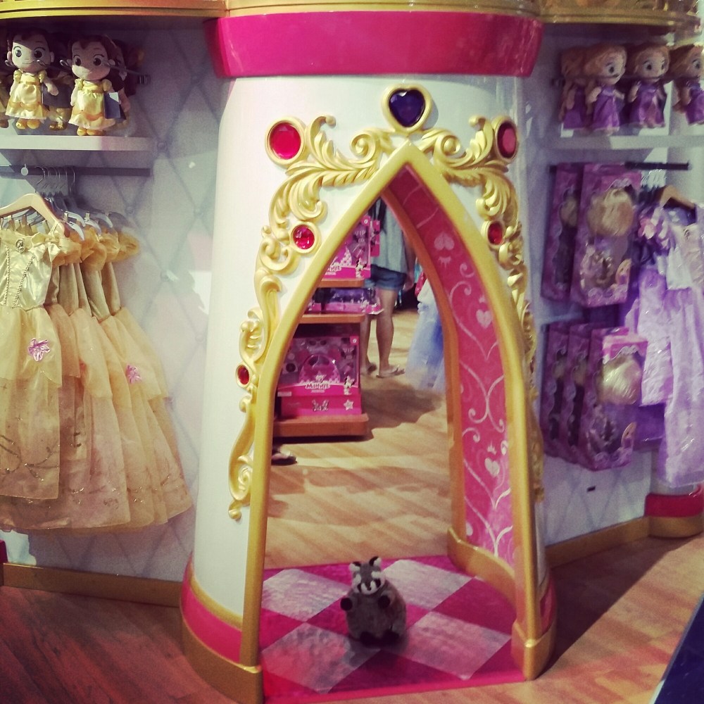 IMG_20150615_135336.jpg image