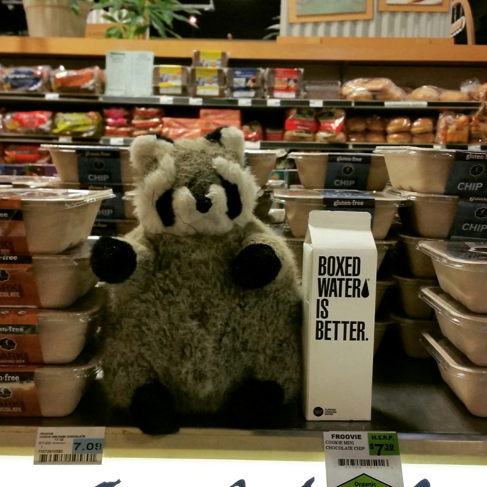 IMG_20150616_070800.jpg image