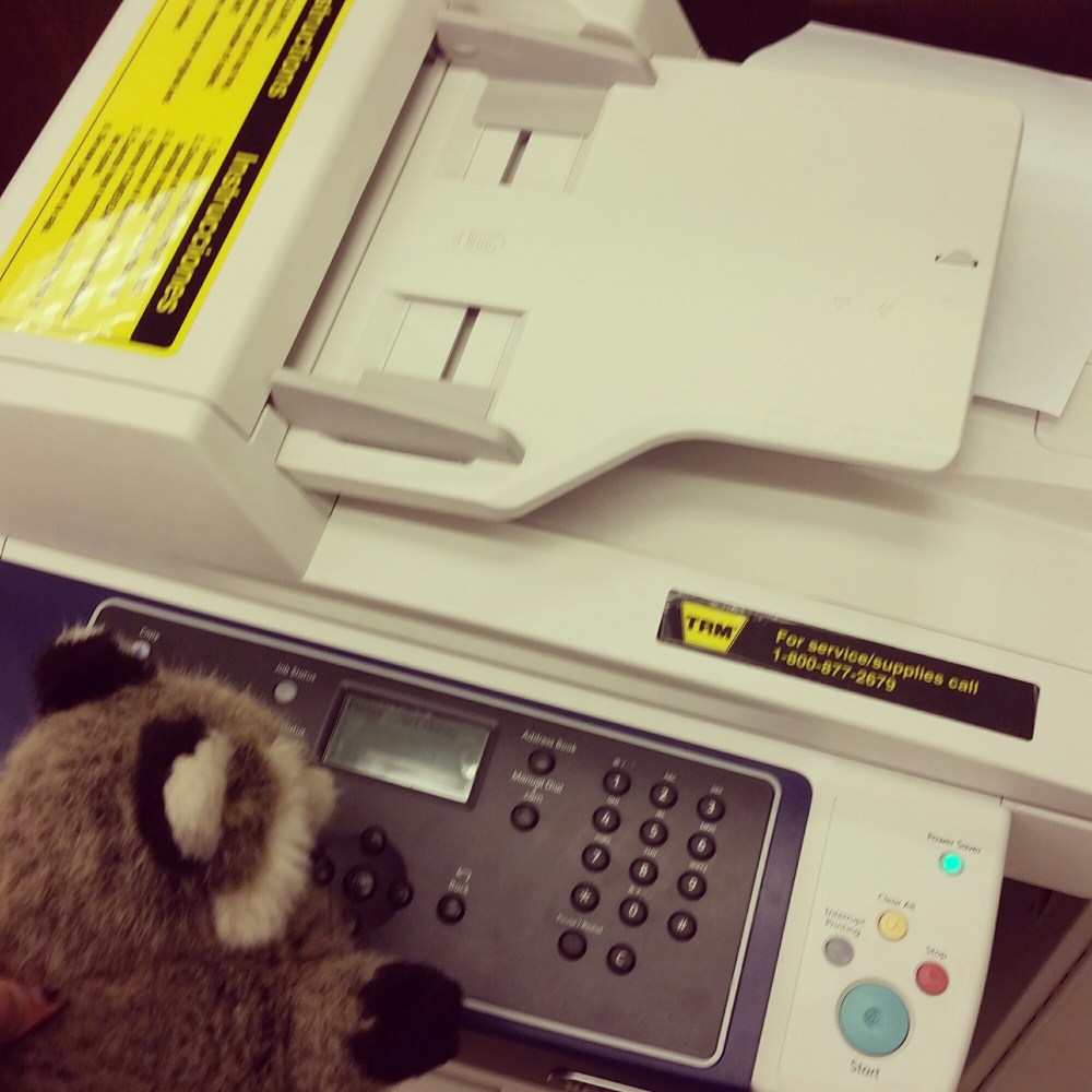 IMG_20150619_064803.jpg image