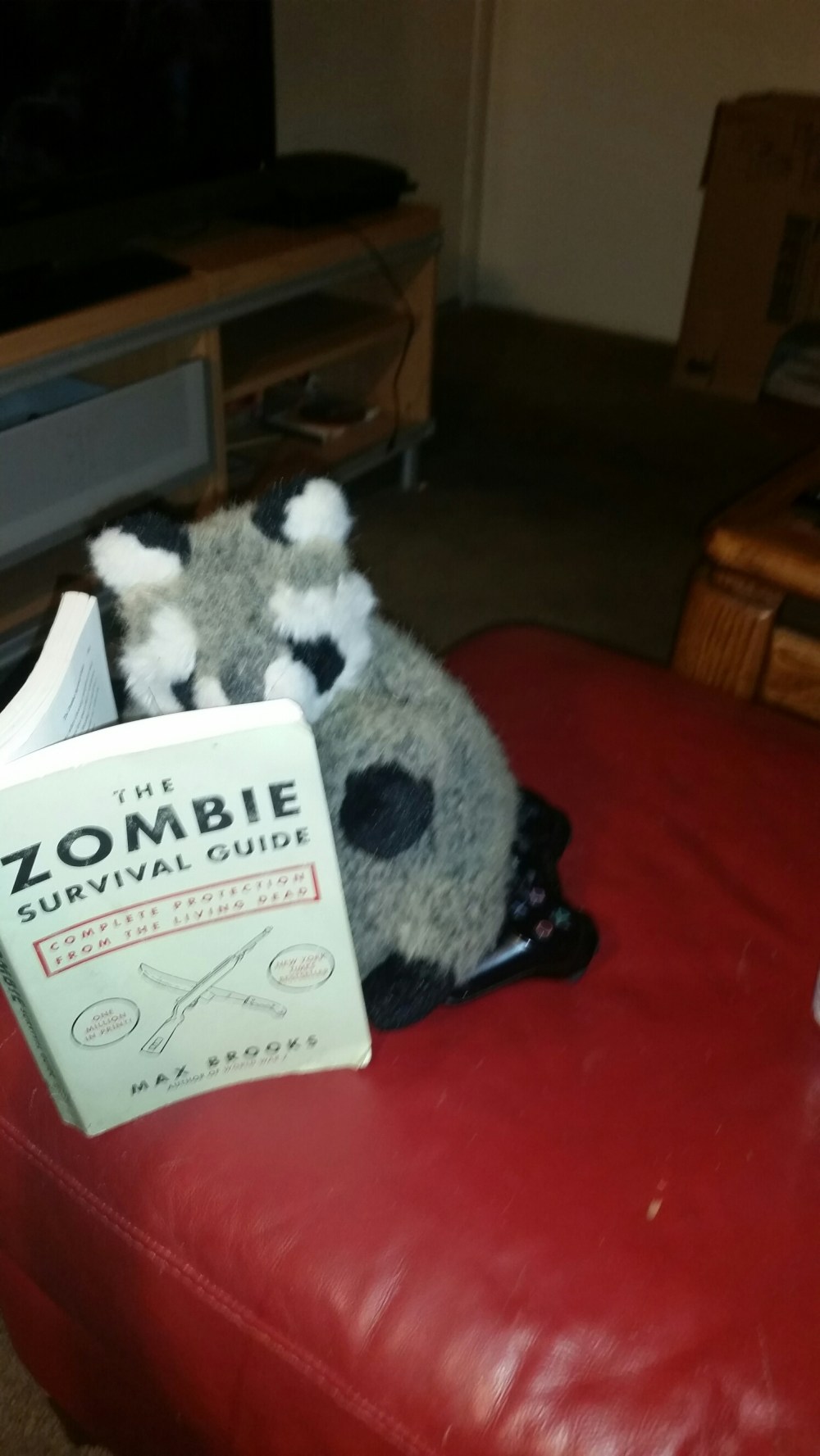 20150709_200916.jpg image