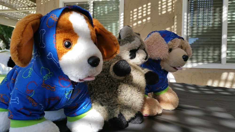 20150809_171401.jpg image