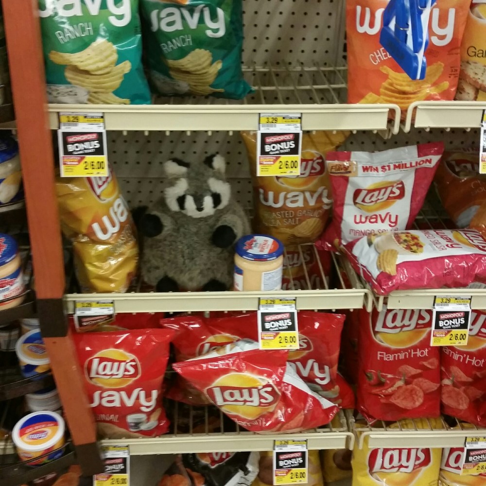 IMG_20150515_104015.jpg image