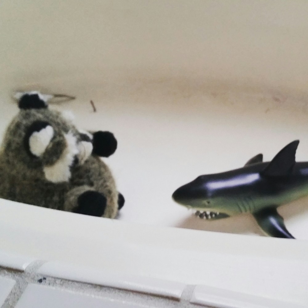 IMG_20150603_162252.jpg image