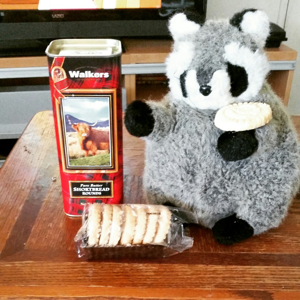 IMG_20150704_114225.jpg image