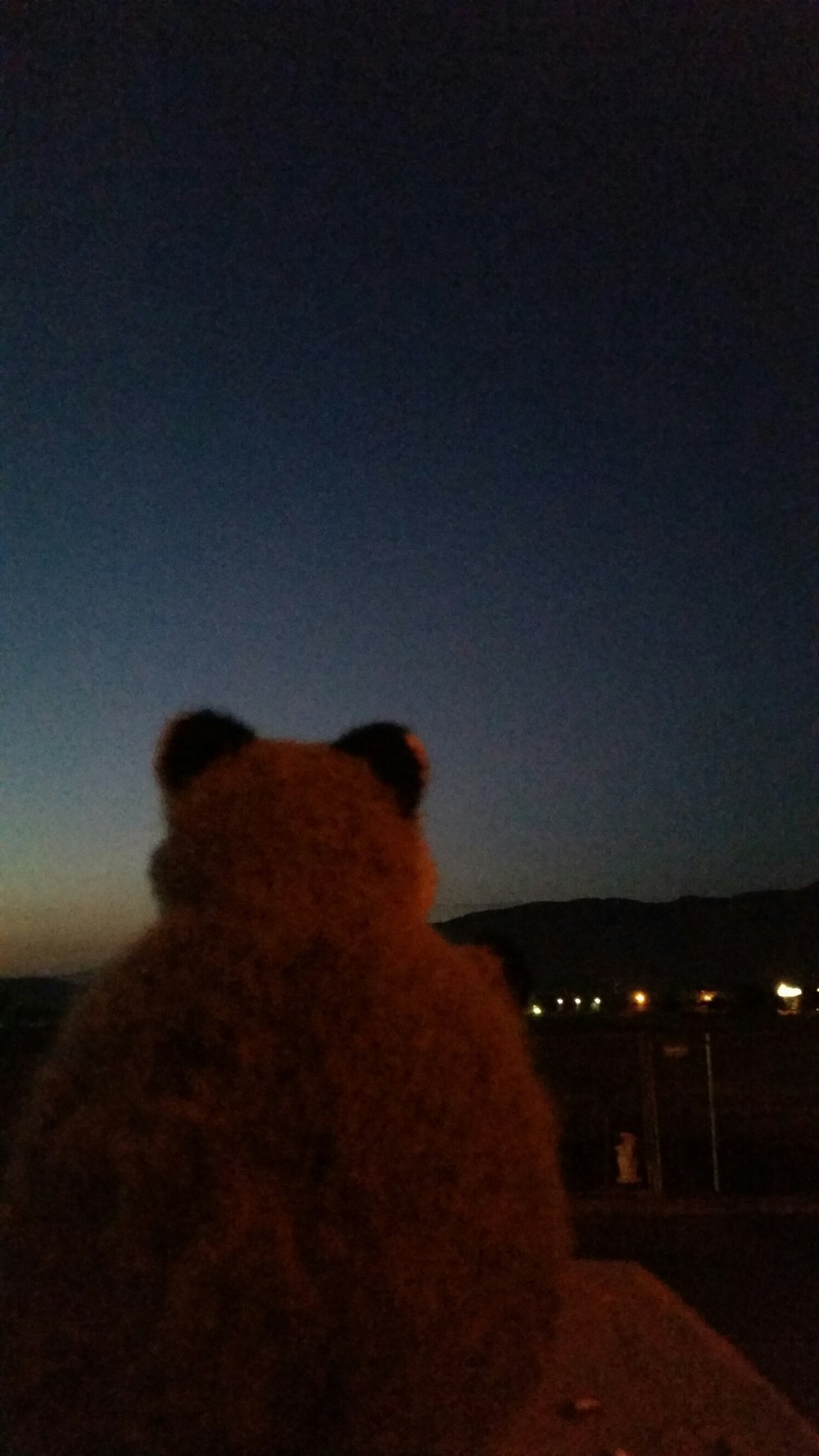 20150704_204056.jpg image