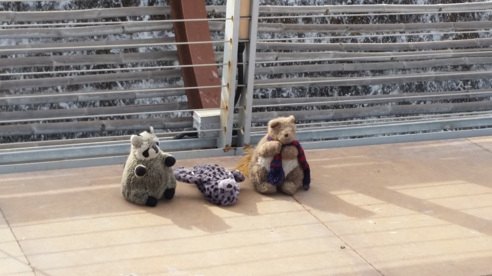 Dos Lagos - Close Up