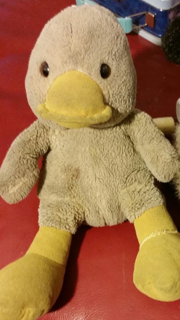 Ducky