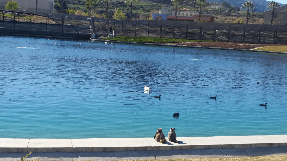 Screenshot_20180418-132528