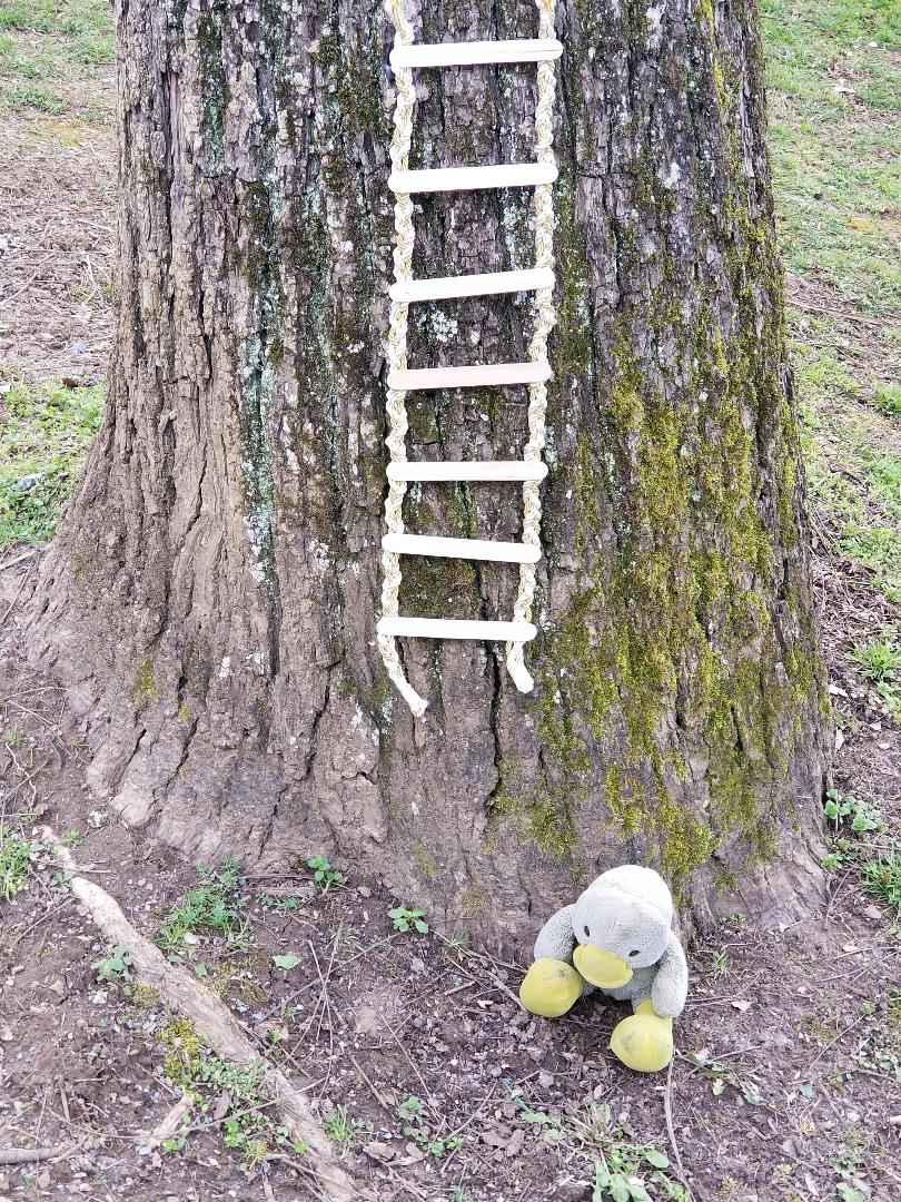 Ducky Ladder - Zombie Post # 10