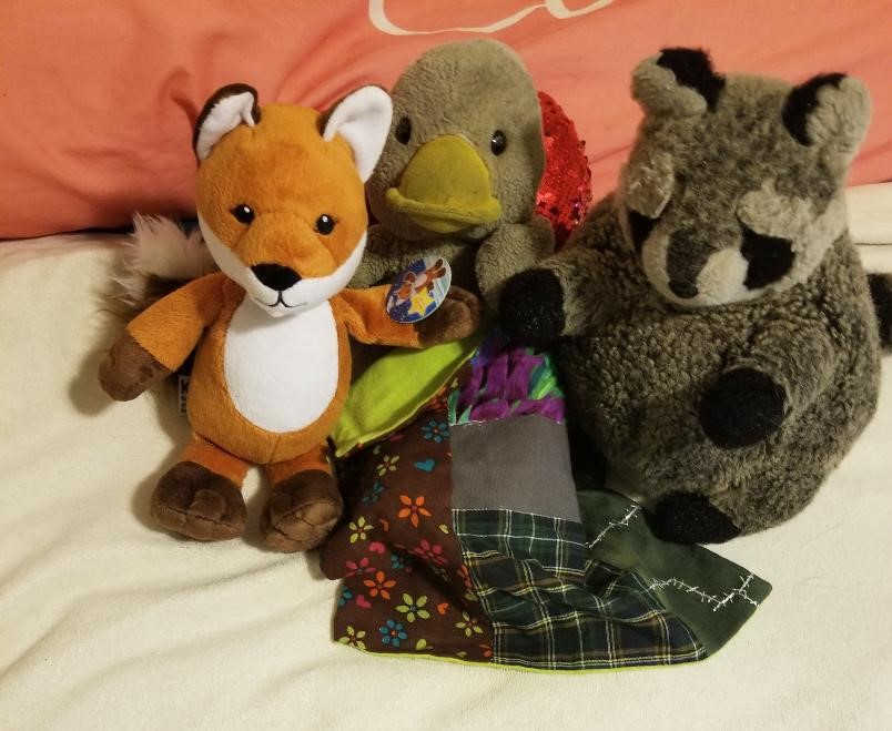 Paws In - Zombie Post # 7