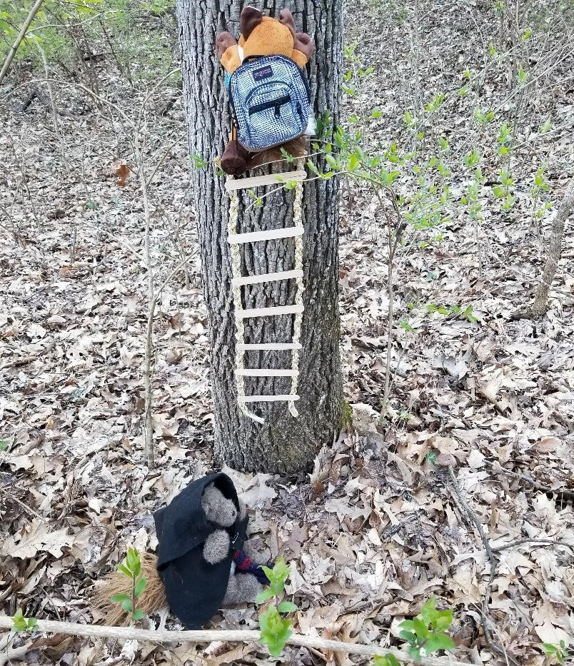 Tree Ladder - Zombie Post # 9 -