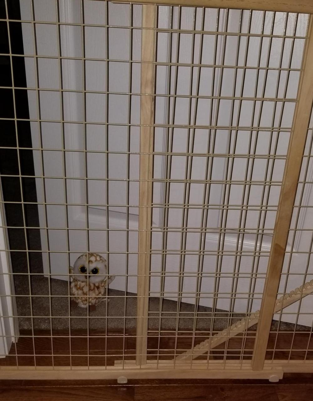 Athen Imprisoned - Zombie Post # 12