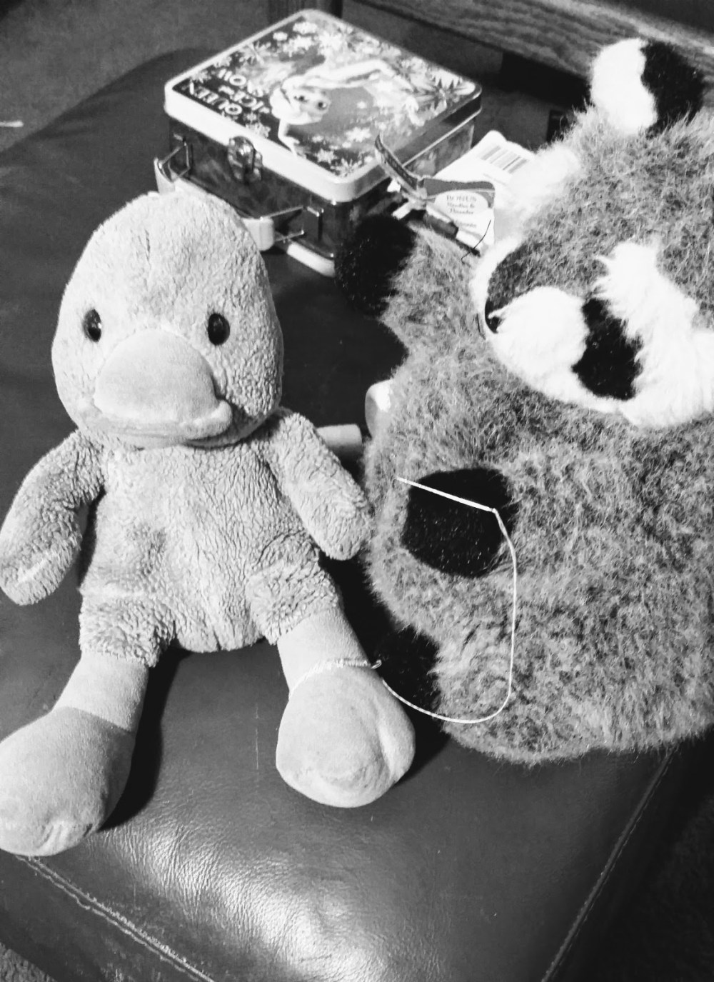 Ducky Surgery - Post # 18.jpg